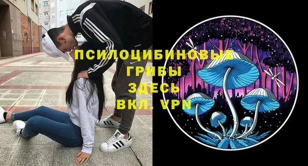 соль курить ск Медвежьегорск
