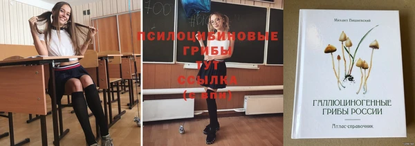 соль курить ск Медвежьегорск