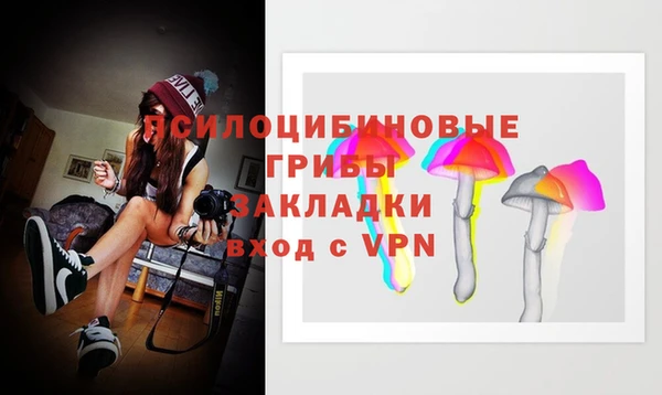 мяу мяу мука Липки