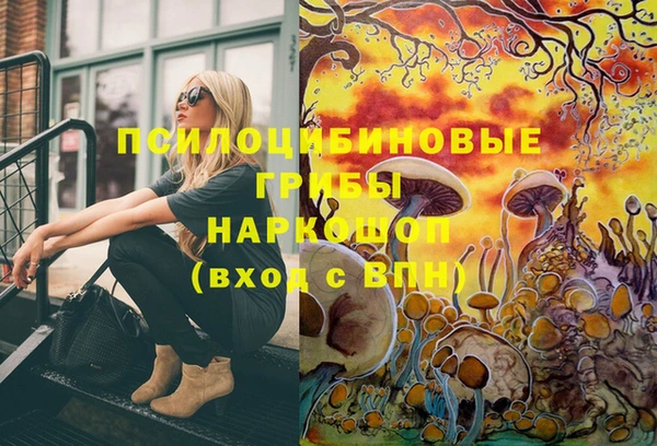 гашик Михайлов