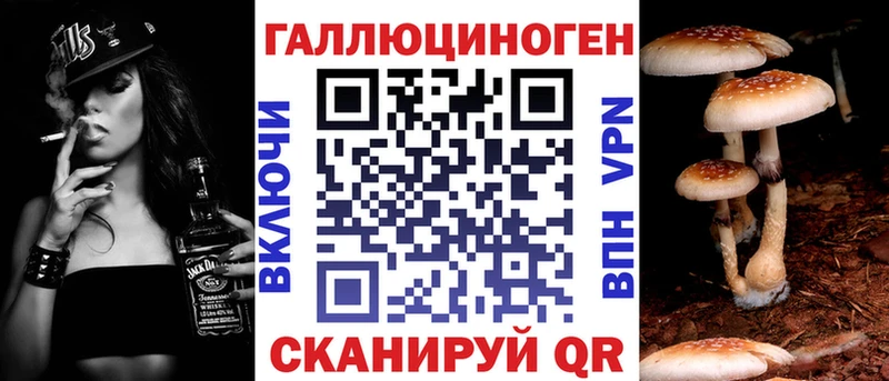 Купить закладки Анива Псилоцибиновые грибы GOLDEN TEACHER